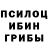 Псилоцибиновые грибы GOLDEN TEACHER betouch 09