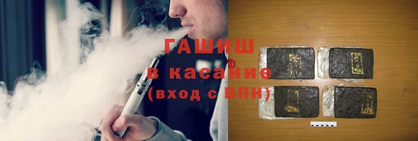 гидра Каменка
