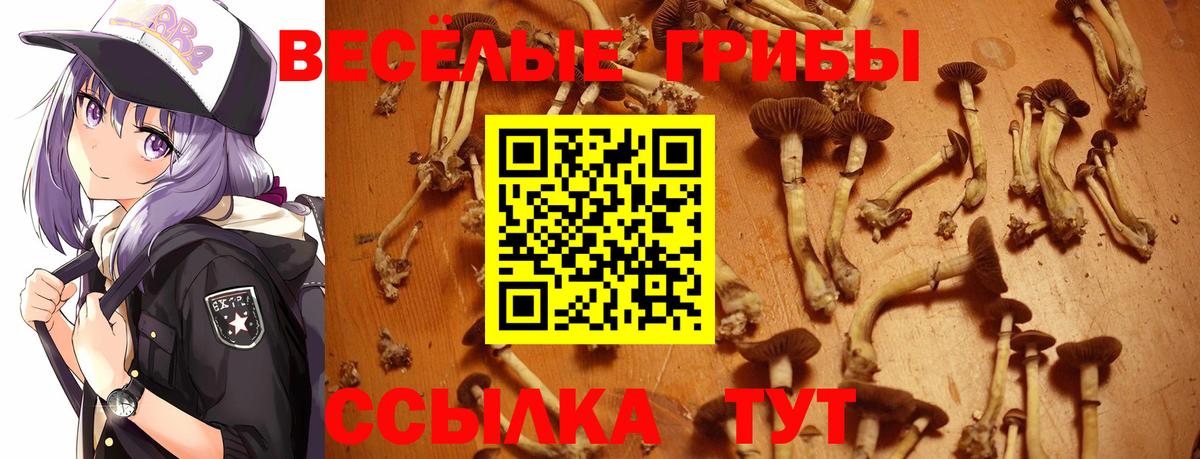 Псилоцибиновые грибы мухоморы Стрежевой