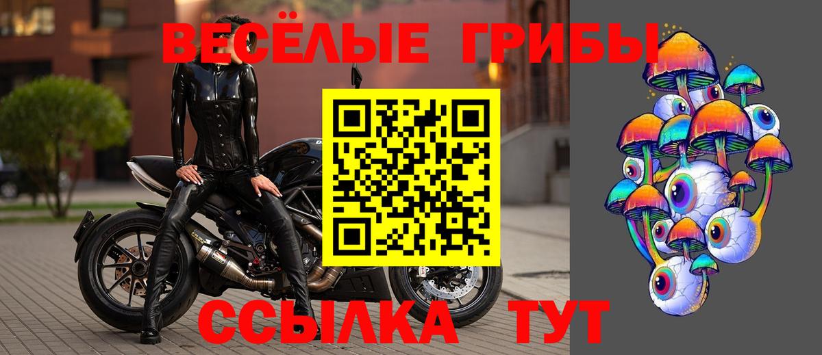 Галлюциногенные грибы GOLDEN TEACHER  Вход с VPN  Стрежевой 