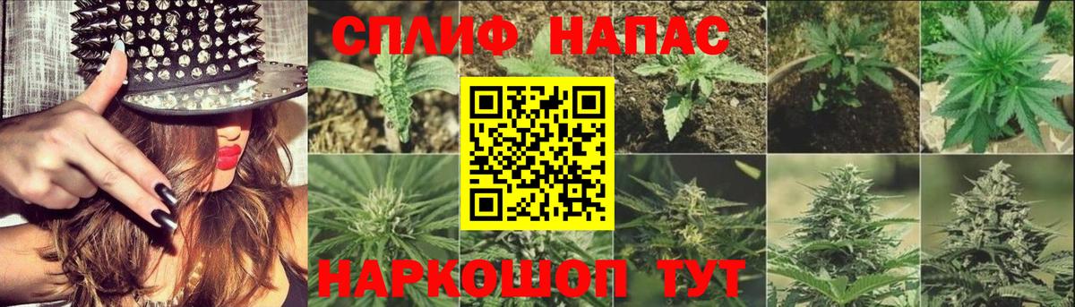 Шишки марихуана Bruce Banner  Стрежевой  Канабис OG Kush  МАРИХУАНА OG Kush  Бошки Шишки гибрид 